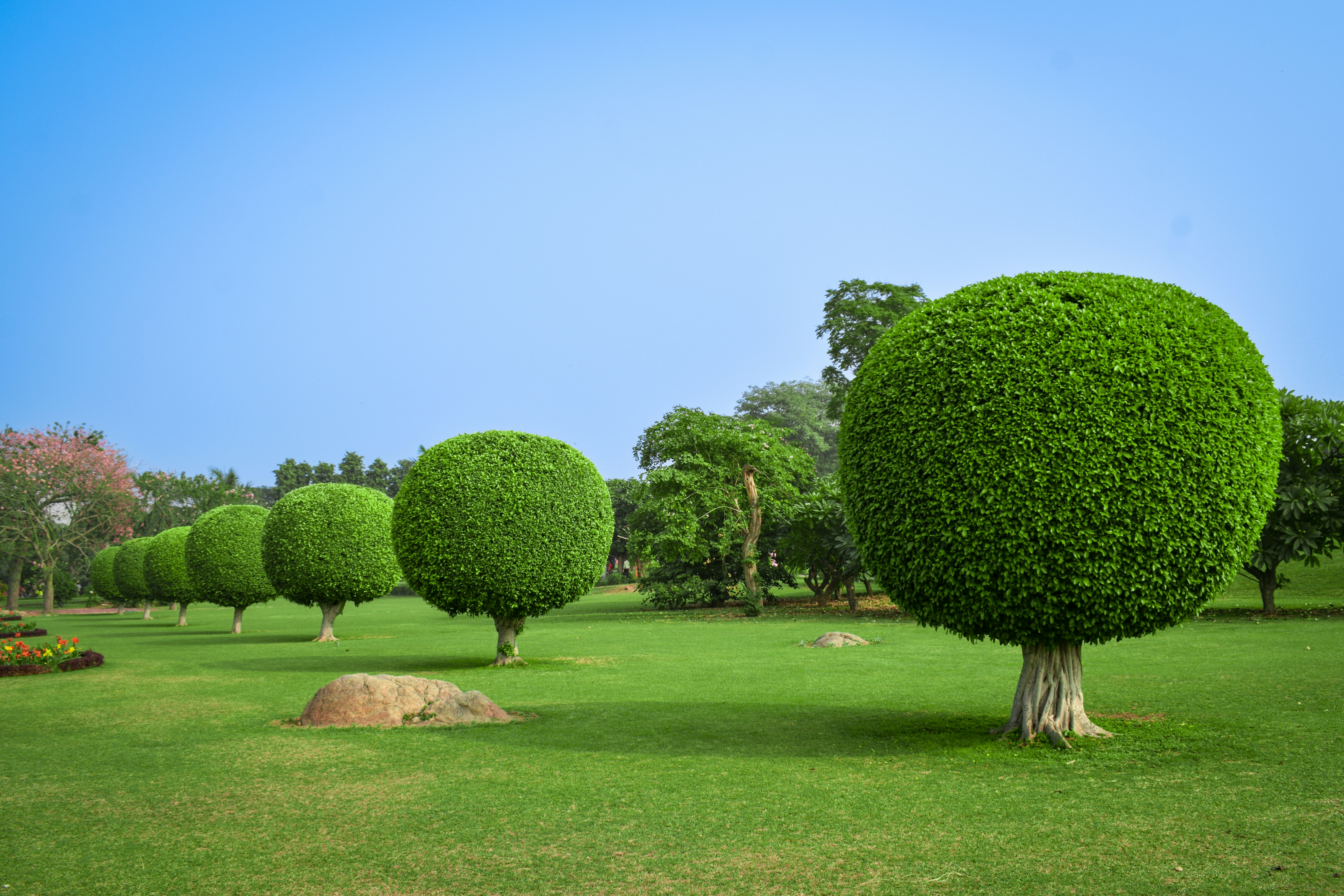 Residential Garden Design